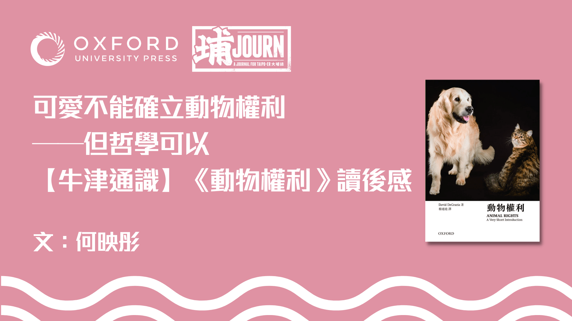 可愛不能確立動物權利 但哲學可以——【牛津通識】《動物權利》讀後感|文:何映彤
