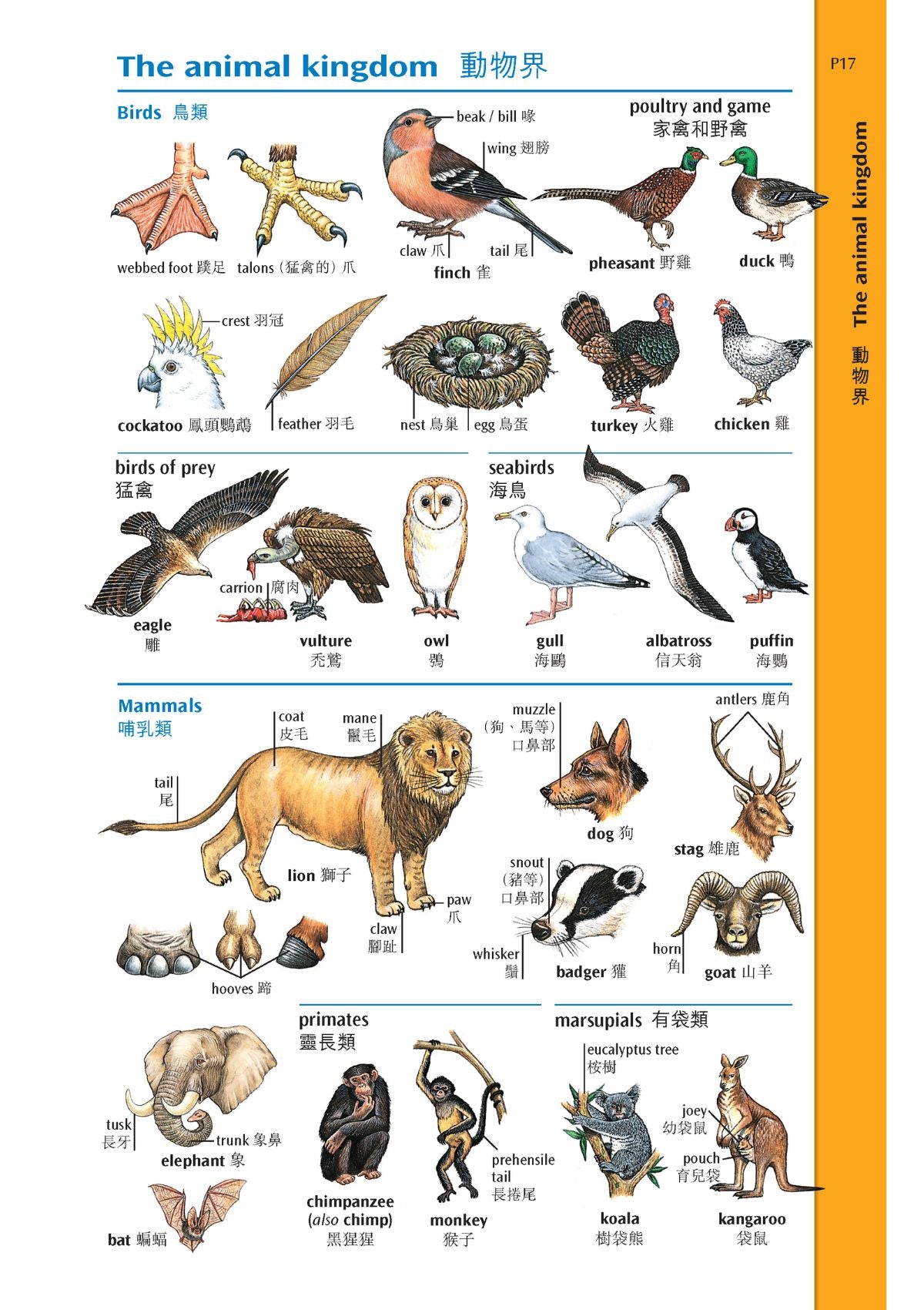 牛津進階英漢雙解詞典(第六版) oup_shop