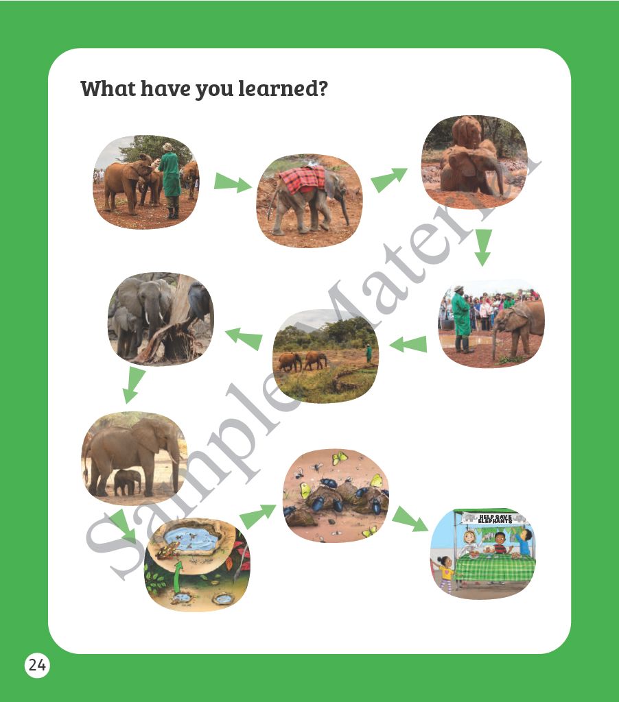 Oxford Reading Tree Green Sparks Level 1 - Level 6 oup_shop