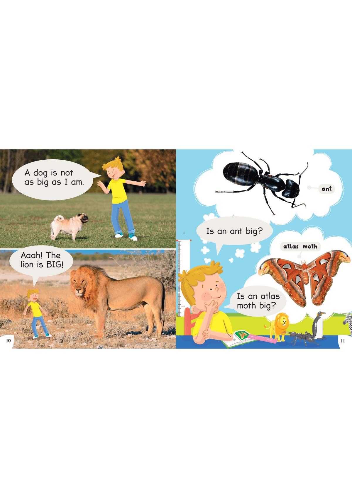 Read with Oxford: Stage 1: Non-fiction: Animals and Us oup_shop