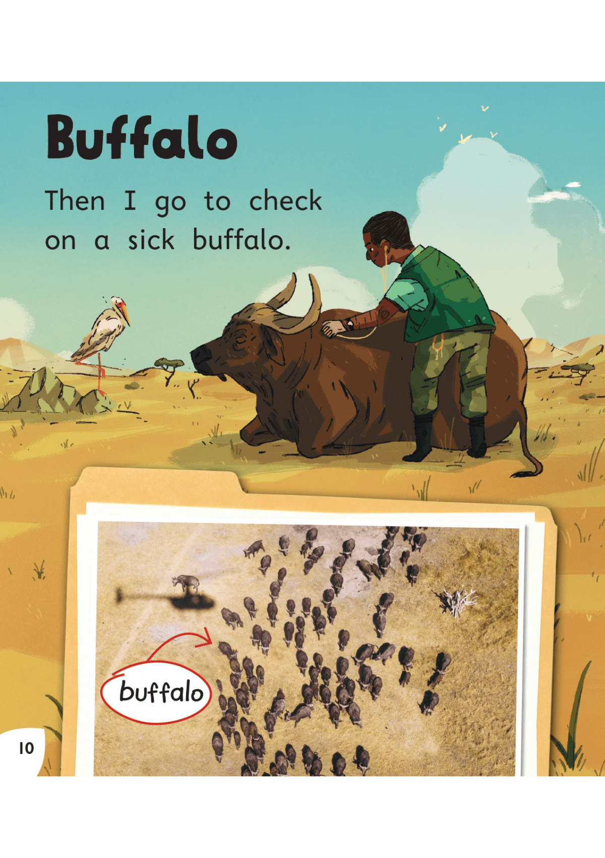 Read with Oxford: Stage 2: Non-fiction: Our Wonderful World oup_shop