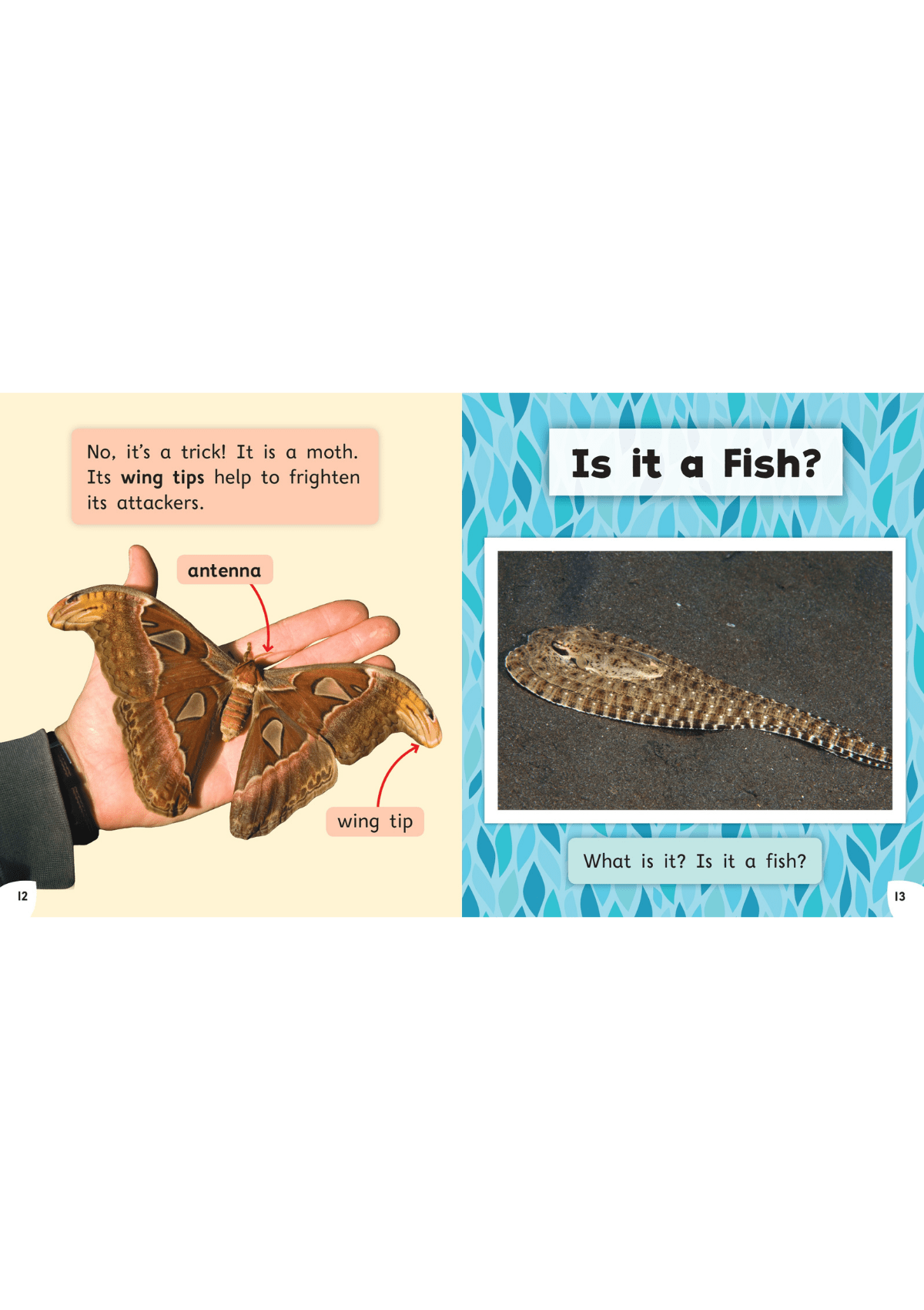 Read with Oxford: Stage 3: Non-fiction: Fantastic Nature oup_shop