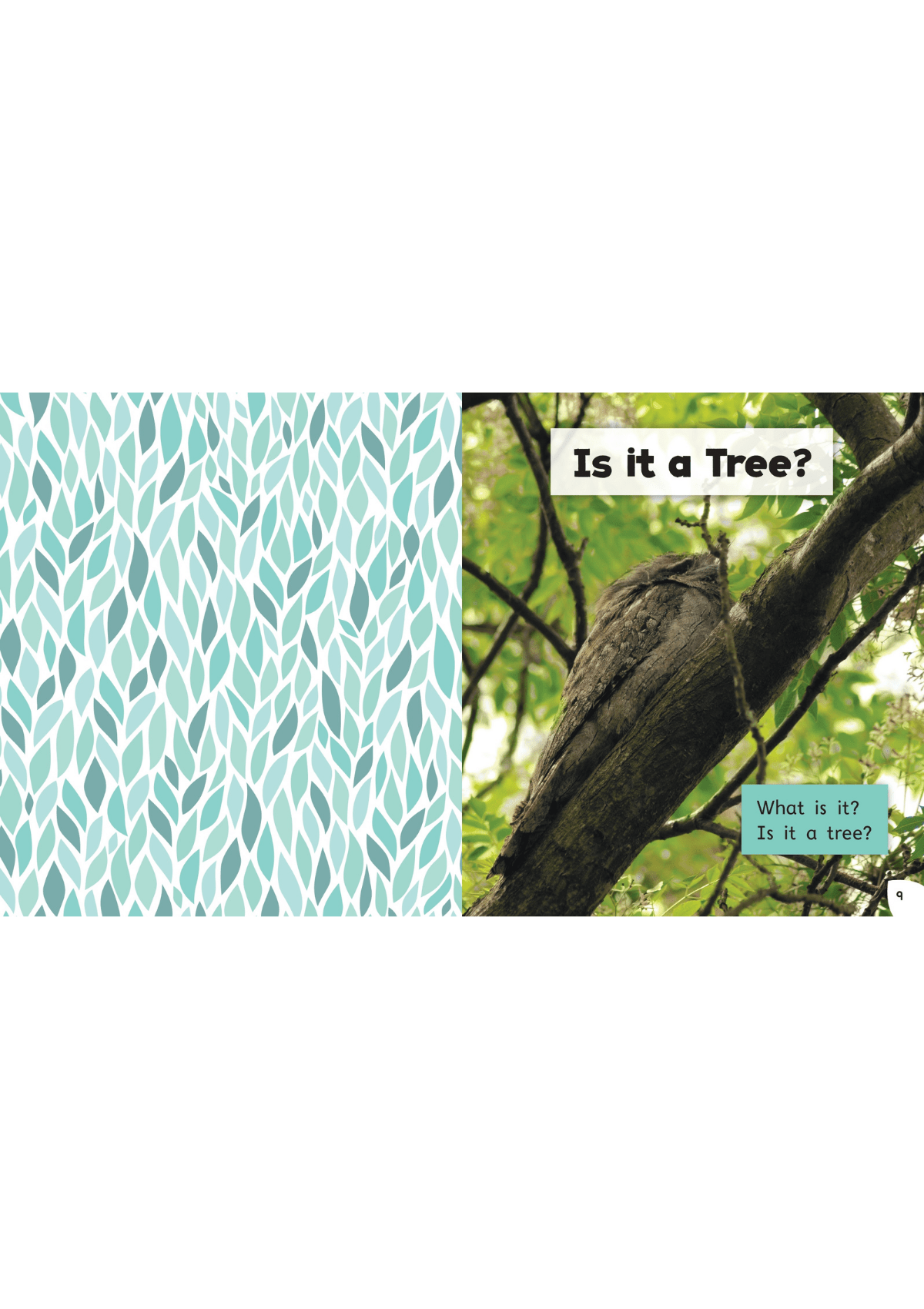 Read with Oxford: Stage 3: Non-fiction: Fantastic Nature oup_shop