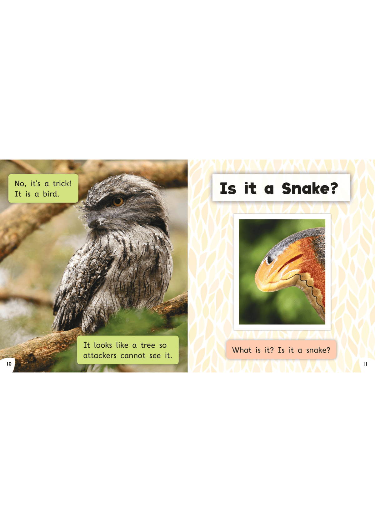 Read with Oxford: Stage 3: Non-fiction: Fantastic Nature oup_shop