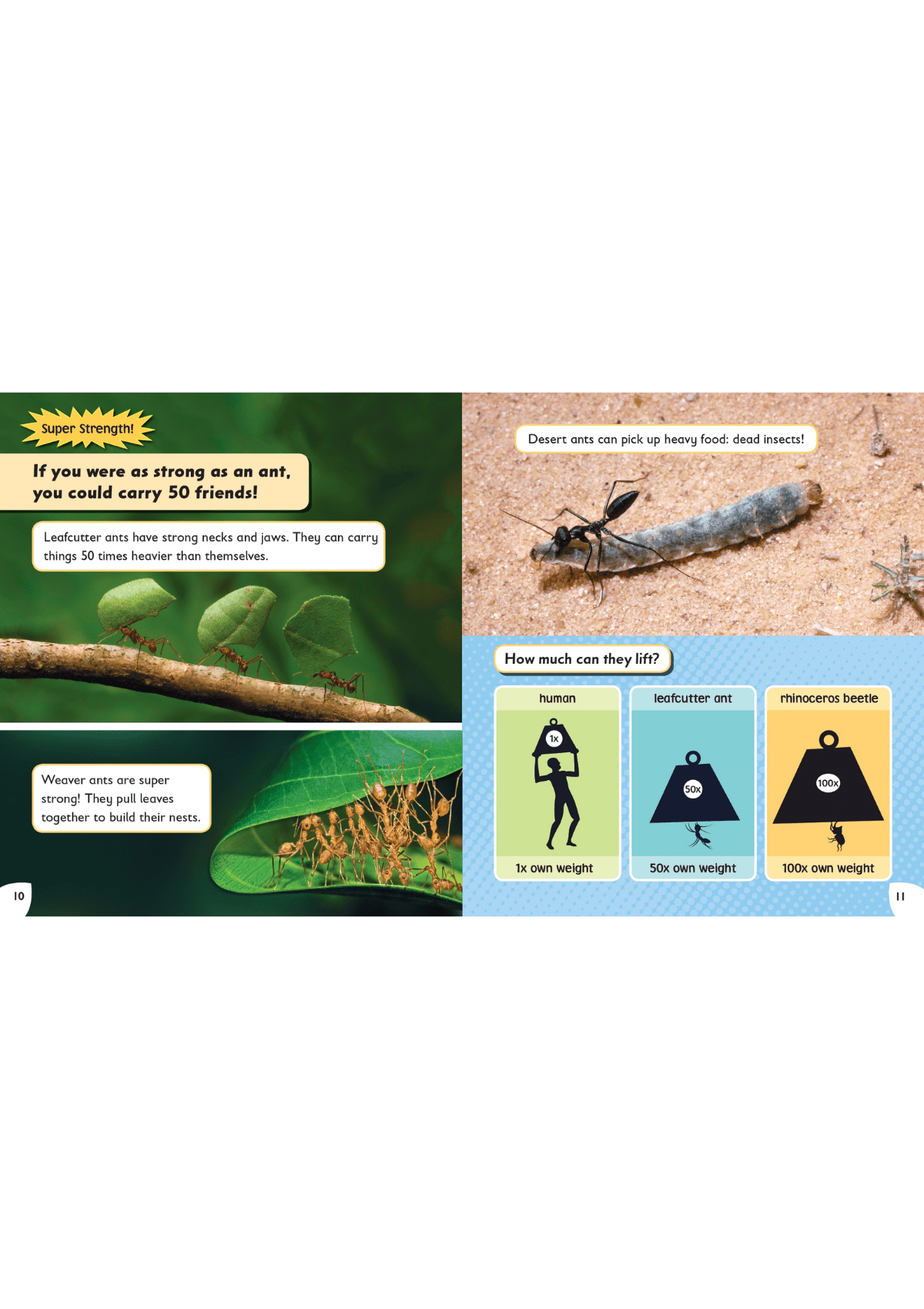 Read with Oxford: Stage 4: Non-fiction: Animal Superpowers oup_shop