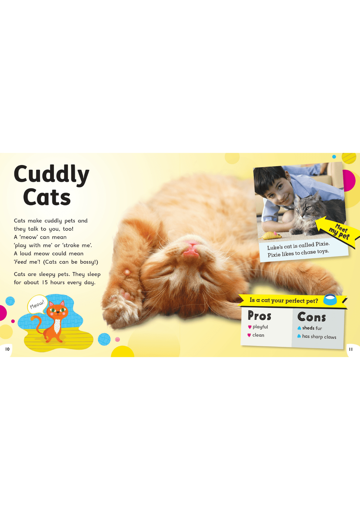 Read with Oxford: Stage 4: Non-fiction: Incredible Animals oup_shop