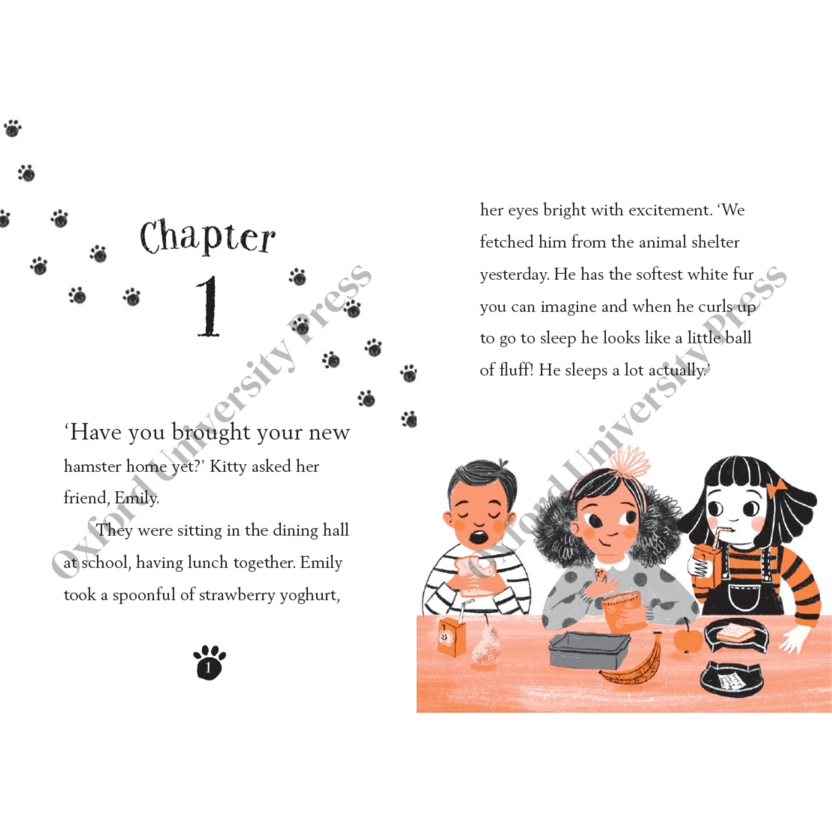 Kitty Book Set 2 oup_shop 
