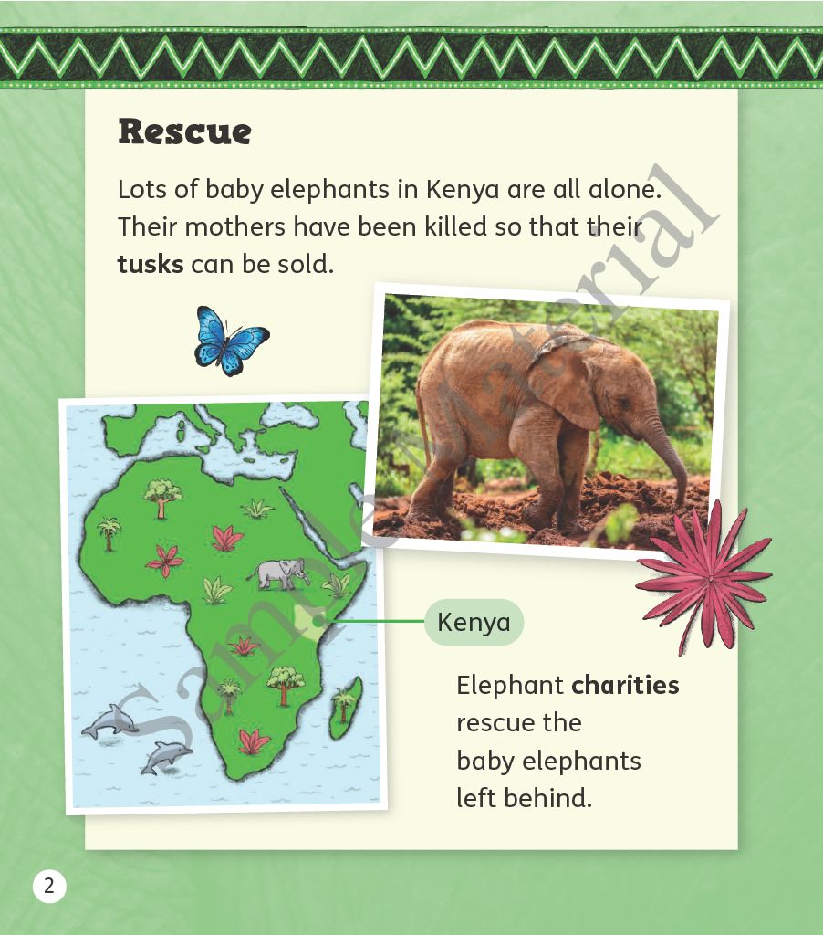 Oxford Reading Tree Green Sparks Level 1 - Level 6 oup_shop 